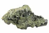 Lustrous, Epidote Crystal Cluster on Actinolite - Pakistan #213461-1